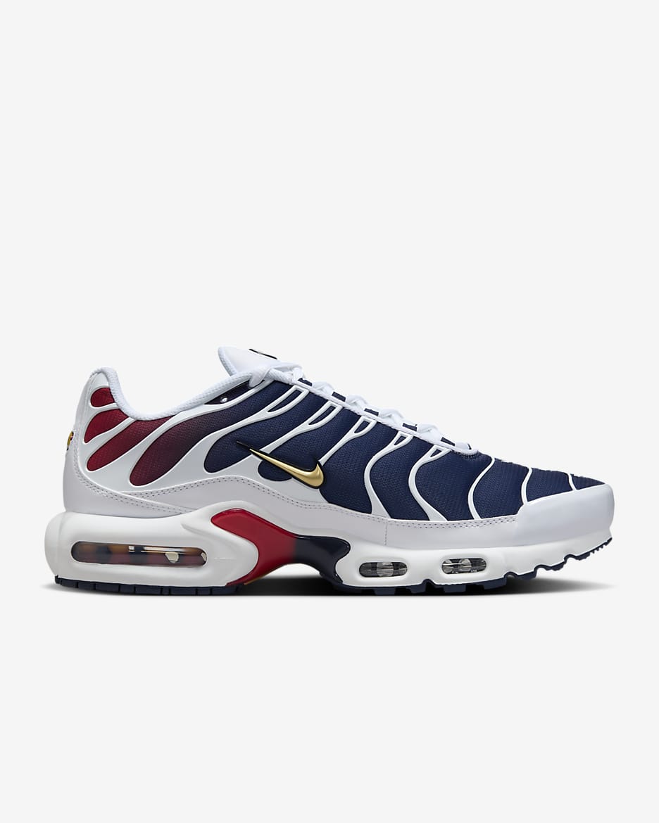 PSG Nike Air Max Plus