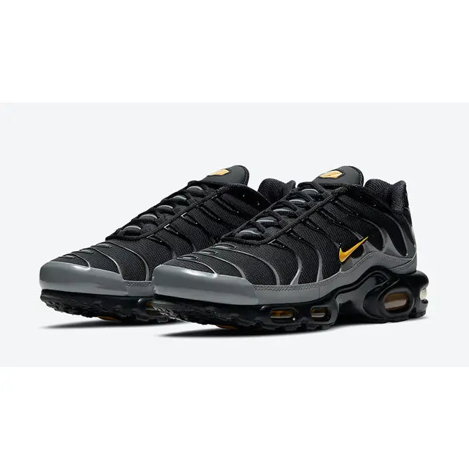 Nike TN Air Max Plus Batman