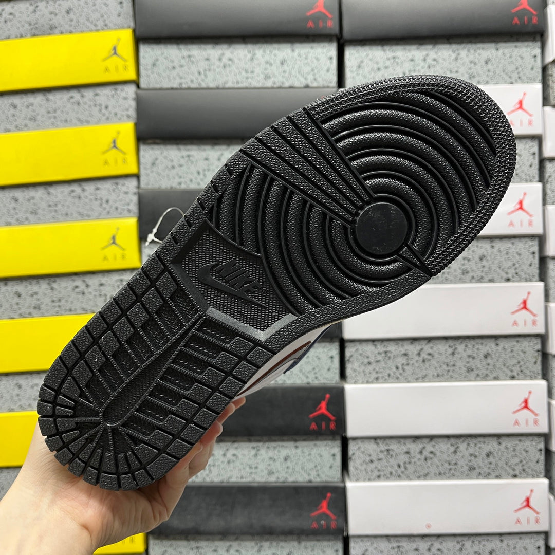 AIR JORDAN 1 - DZ5485-100