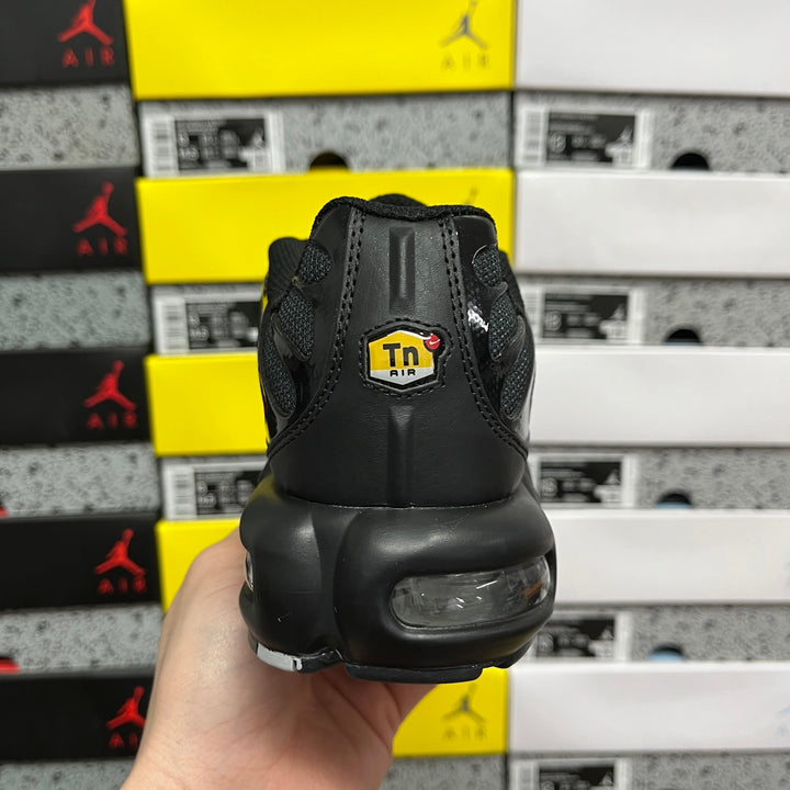 Nike Air Max PLUS TN FJ4224-001