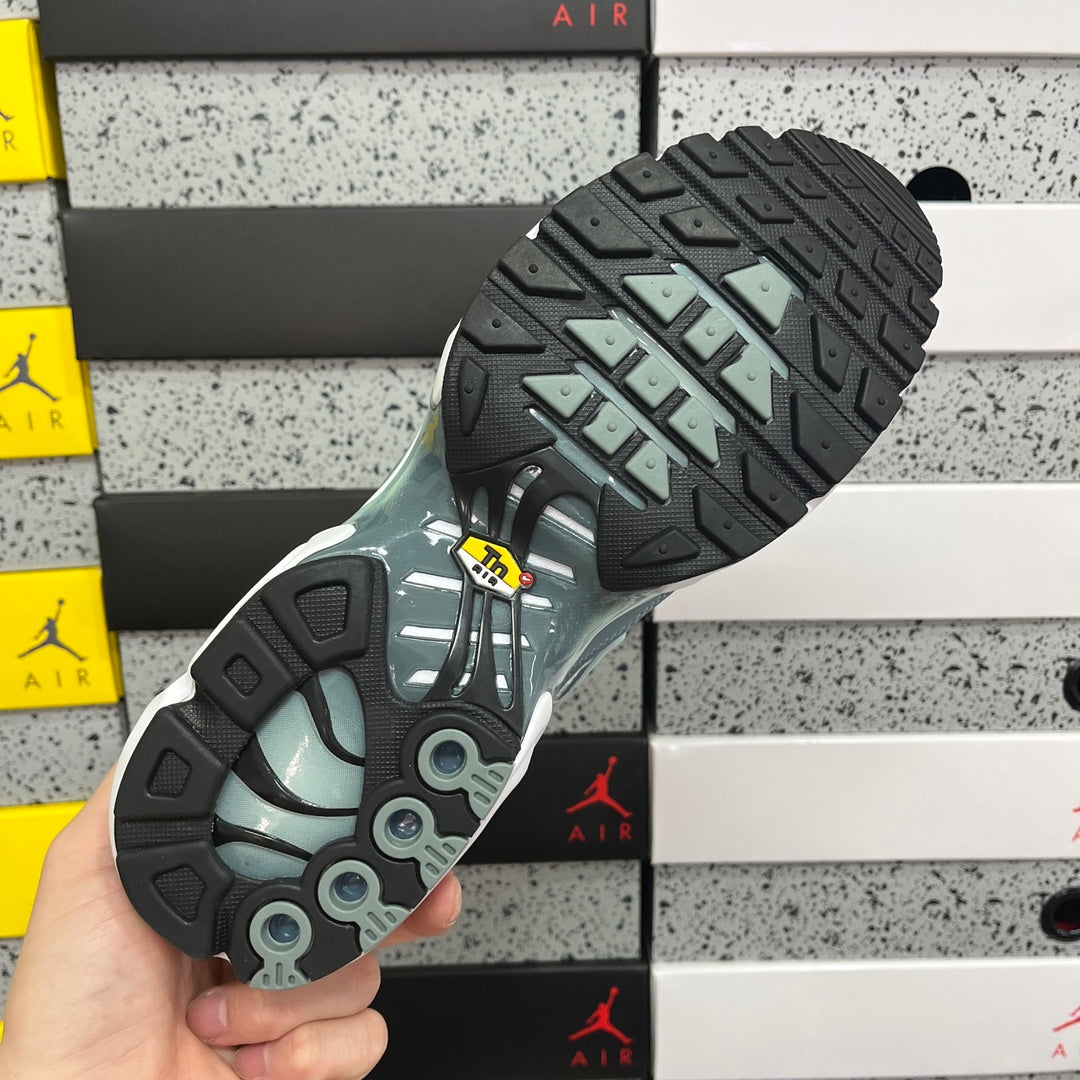 Nike Air Max PLUS TN - FV0394-300